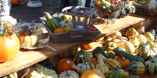 Herfstmarkt Ermelo — markt-eten in Ermelo