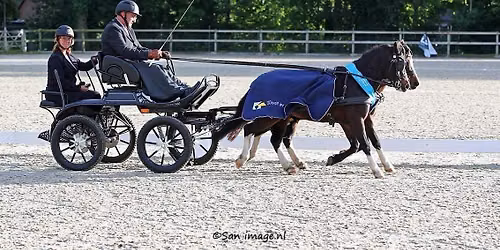Nationale Welsh Sportdag — sport in Ermelo