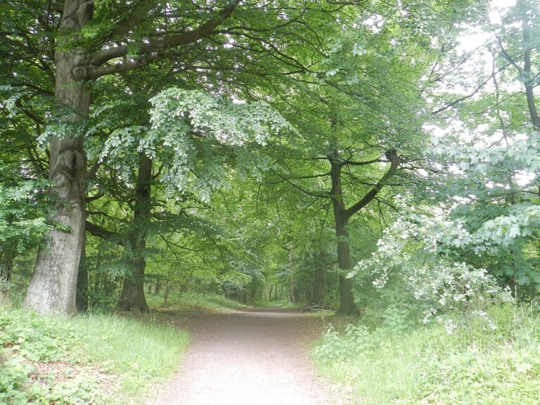 Staverden High Tea — natuur in Ermelo