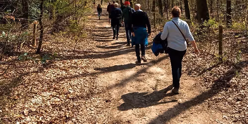 🍁 Herfstwandeling Speuld 🍁 — natuur in Ermelo