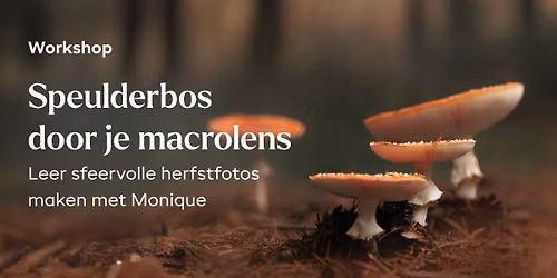 Workshop Macrofotografie Speulderbos – Monique van Genderen — natuur in Ermelo